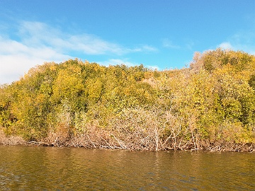 IMG 20250831 111259