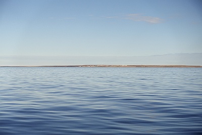 DSC03401
