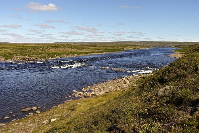 DSC08374