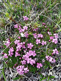 Image00010