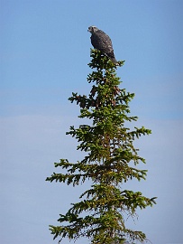 Image00101