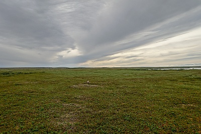 DSC05674
